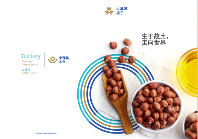 榛果是什么，土耳其榛子：坚果中的王者（榛果是什么）