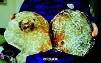 如何挑选热水袋，热水袋的气怎么排出（如何正确挑选电热水袋）