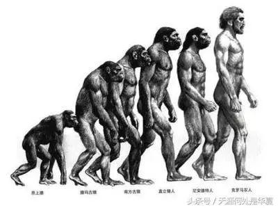 为什么类人猿不可能变成人类，为什么类人猿不可能变成人类了（为什么古猿能演变成人）