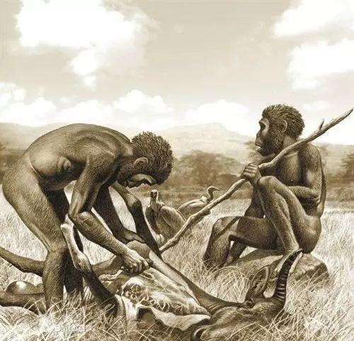 为什么类人猿不可能变成人类，为什么类人猿不可能变成人类了（为什么古猿能演变成人）