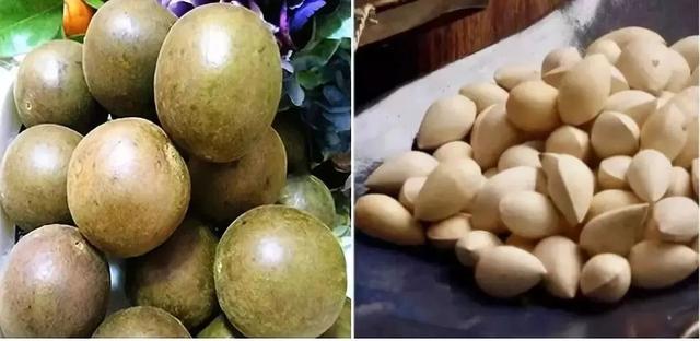 梨膏糖的功效与作用，百草梨膏糖的功效（七代传承流传下来的古法梨膏糖）