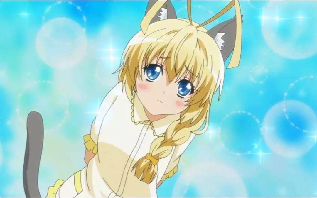 里的立花萤……说好的疯子啦当然是银时的女装的小卷子無才のぶー伪娘