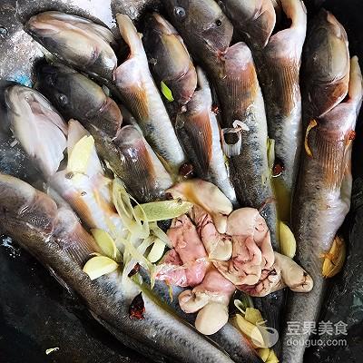 海鲶鱼怎么做好吃，海鲶鱼的家常做法（酱焖海鲶鱼的做法）