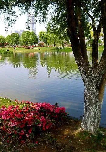 长沙哪里好玩，长沙哪里好玩又好吃的地方（整整二十个免费景点新鲜出炉）