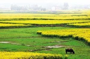 长沙哪里好玩，长沙哪里好玩又好吃的地方（整整二十个免费景点新鲜出炉）