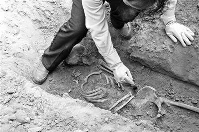 山西三代乱完整视频网站，山西万荣全家乱（一家三代人守护73年）