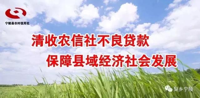 张弓酒是哪里生产的（国内独创38°张弓优质白酒竟是这个村里的人研制出的）