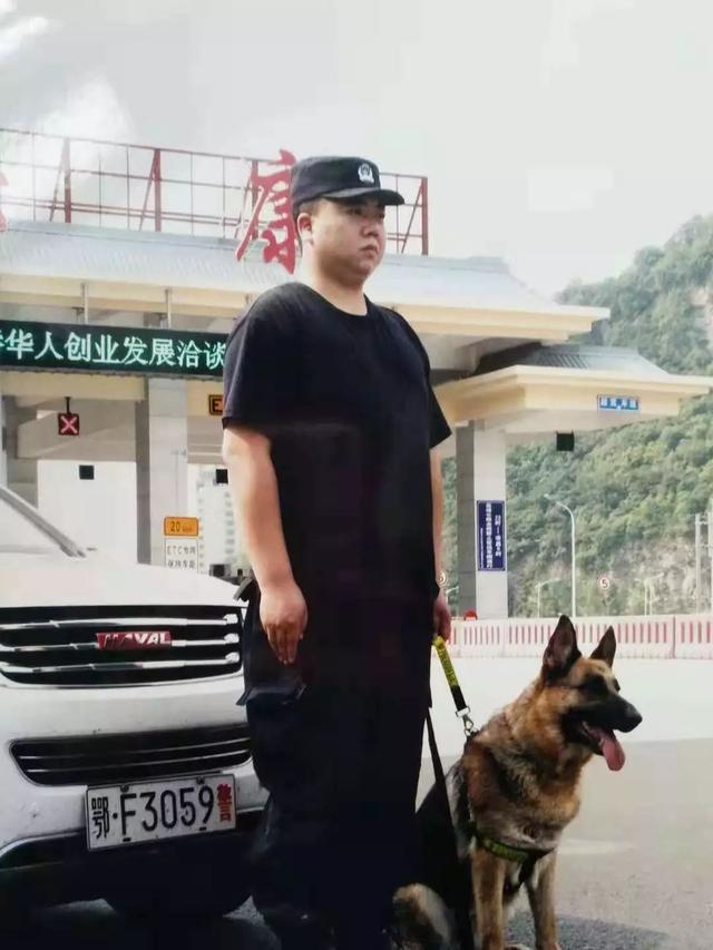 猎豹犬，保康警犬“猎豹”和它的训导员不得不说的故事（猎豹犬图片）