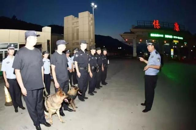 猎豹犬，保康警犬“猎豹”和它的训导员不得不说的故事（猎豹犬图片）