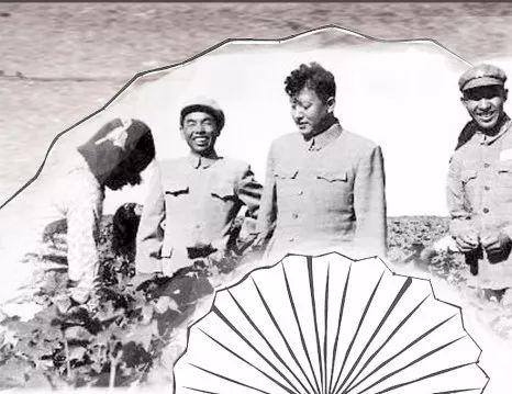 令狐安简历，令狐恩强个人简历（兴疆好“瀚”）