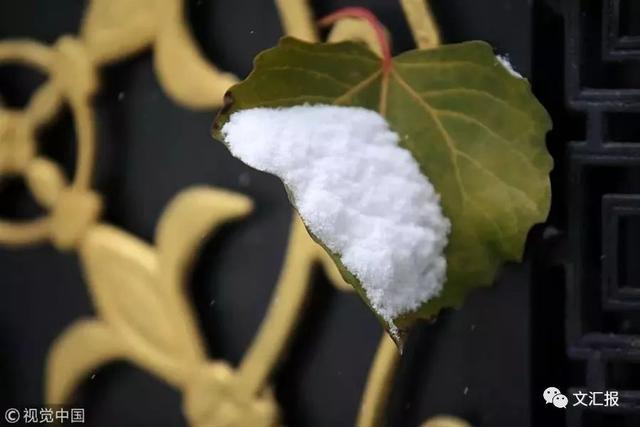 24节气小雪的优美诗句，关于24节气小雪的诗句（这10首经典诗词陪你静候初雪）