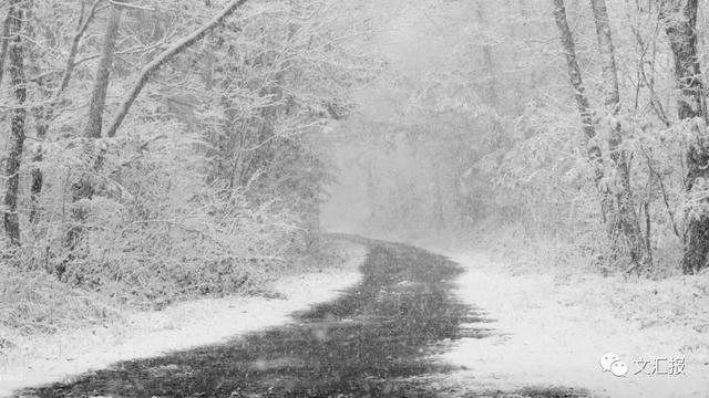 24节气小雪的优美诗句，关于24节气小雪的诗句（这10首经典诗词陪你静候初雪）