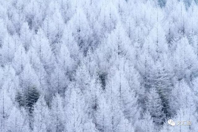 24节气小雪的优美诗句，关于24节气小雪的诗句（这10首经典诗词陪你静候初雪）
