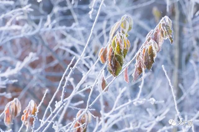 24节气小雪的优美诗句，关于24节气小雪的诗句（这10首经典诗词陪你静候初雪）