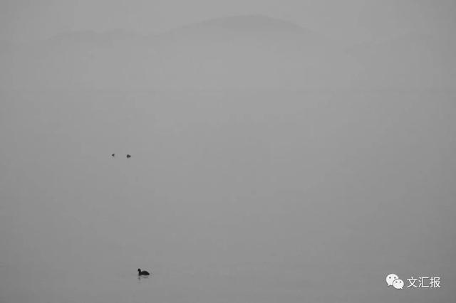 24节气小雪的优美诗句，关于24节气小雪的诗句（这10首经典诗词陪你静候初雪）