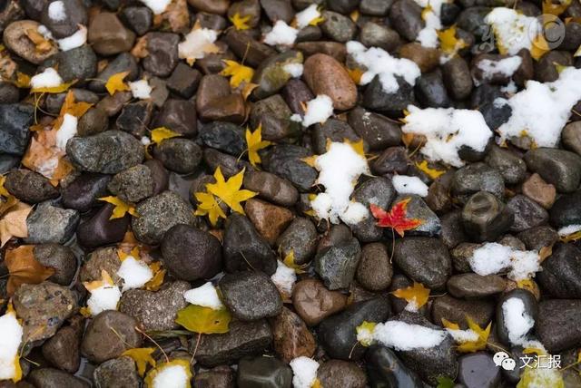 24节气小雪的优美诗句，关于24节气小雪的诗句（这10首经典诗词陪你静候初雪）
