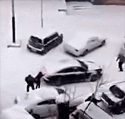 南方人是指哪里人，南方人和北方人是指哪里人（北方人南方人谁更抗冻）