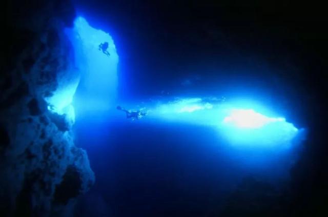 关于潜水介绍，关于潜水介绍的文案（潜水—了解一下）