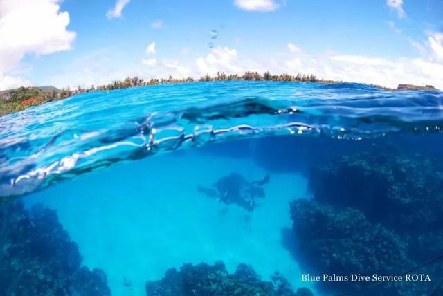 关于潜水介绍，关于潜水介绍的文案（潜水—了解一下）