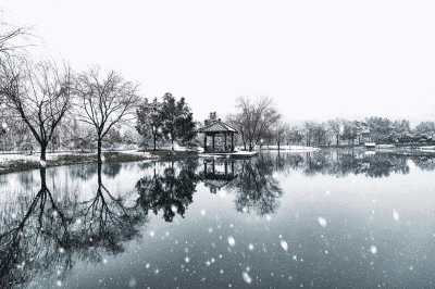 关于雪的现代诗，关于雪的现代诗简短（5首古诗5首现代诗给你一个诗意雪天）