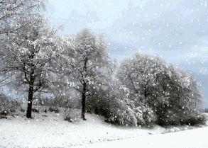 关于雪的现代诗，关于雪的现代诗简短（5首古诗5首现代诗给你一个诗意雪天）