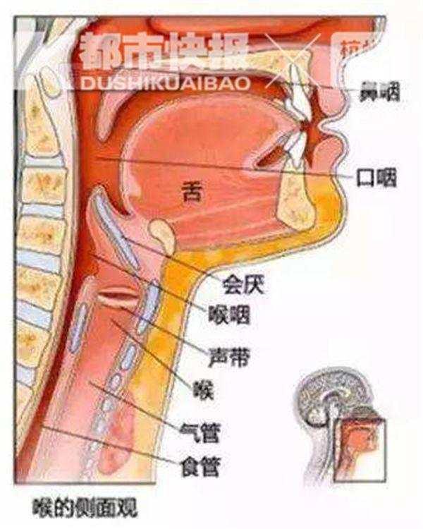 喉咙痛是怎么回事，喉咙痛怎么回事（男子喉咙肿痛不当回事）