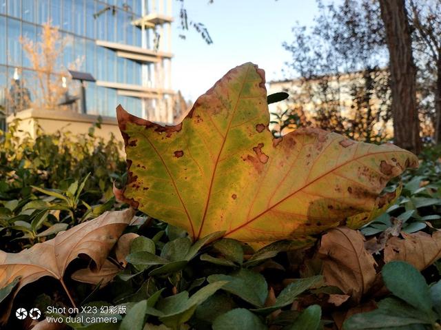 vivox23怎么恢复出厂设置，vivos16（X23幻彩版评测）