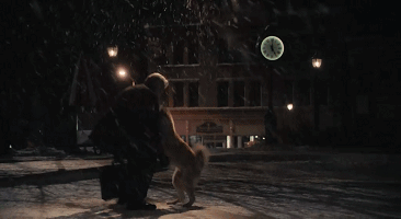 梦见自己被狗追，梦见自己被狗追咬预示什么（只为……咬主人一口）