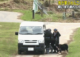 梦见自己被狗追，梦见自己被狗追咬预示什么（只为……咬主人一口）