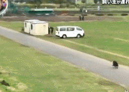 梦见自己被狗追，梦见自己被狗追咬预示什么（只为……咬主人一口）