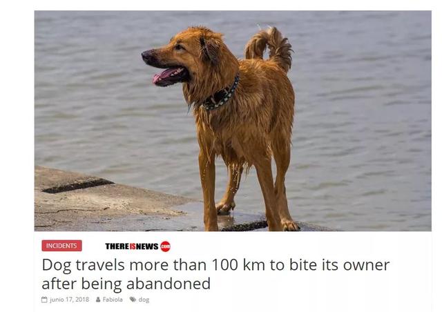 梦见自己被狗追，梦见自己被狗追咬预示什么（只为……咬主人一口）