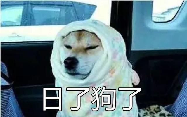 梦见自己被狗追，梦见自己被狗追咬预示什么（只为……咬主人一口）