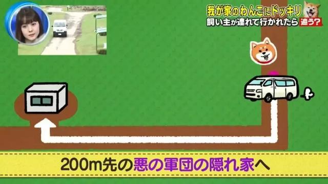 梦见自己被狗追，梦见自己被狗追咬预示什么（只为……咬主人一口）