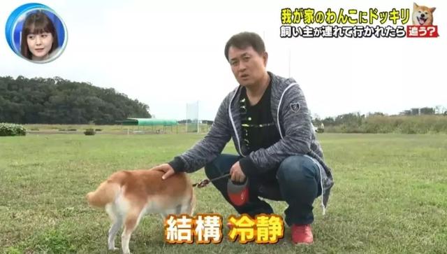 梦见自己被狗追，梦见自己被狗追咬预示什么（只为……咬主人一口）