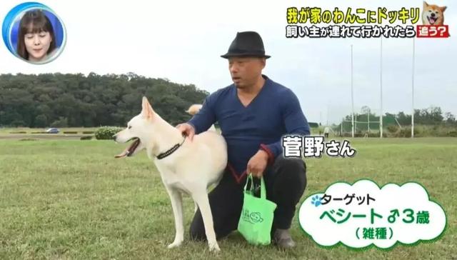 梦见自己被狗追，梦见自己被狗追咬预示什么（只为……咬主人一口）