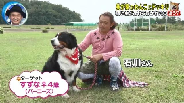 梦见自己被狗追，梦见自己被狗追咬预示什么（只为……咬主人一口）