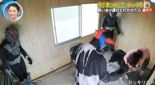 梦见自己被狗追，梦见自己被狗追咬预示什么（只为……咬主人一口）