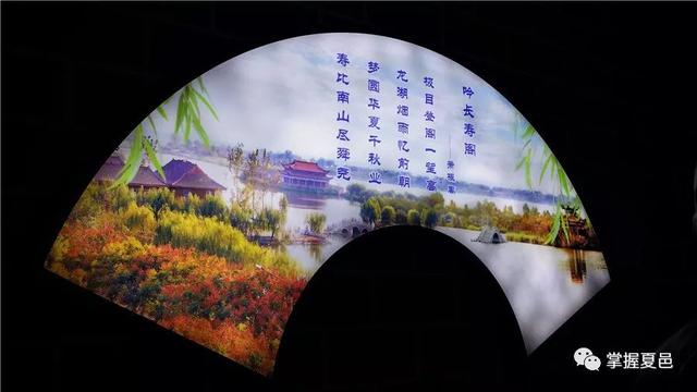 世界上最长寿的人1065岁，全球公认四大长寿药（中国长寿之乡夏邑最长寿的寿星1065岁）