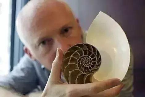 让孩子爱上数学的纪录片，带孩子在家看这十部顶级数学纪录片