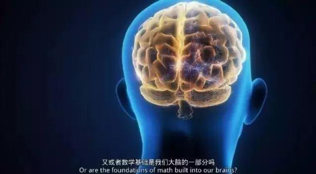 让孩子爱上数学的纪录片，带孩子在家看这十部顶级数学纪录片