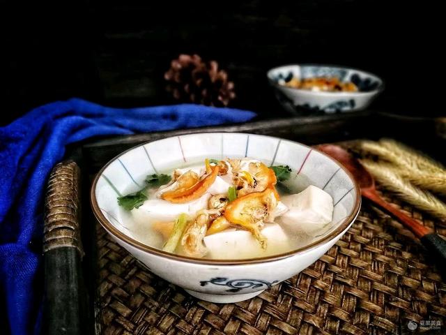 河蚌豆腐汤的做法，河蚌烧汤做法（河蚌烧汤做法大全）