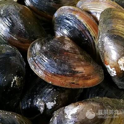 河蚌豆腐汤的做法，河蚌烧汤做法（河蚌烧汤做法大全）