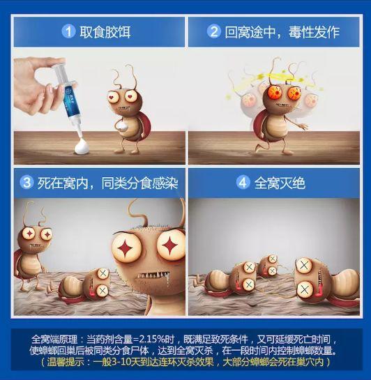 会飞的蟑螂是怀孕了吗，蟑螂会飞嘛（终于和这种让你半夜失声尖叫的生物说债见了）