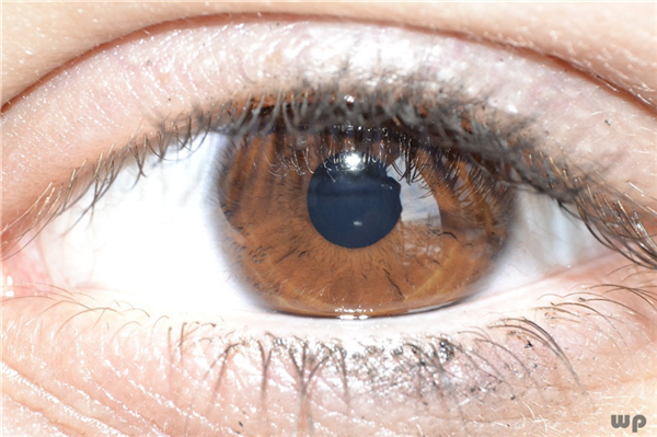 森系短句干净清新，森系清新唯美的句子短语（看完眼睛湿润了）