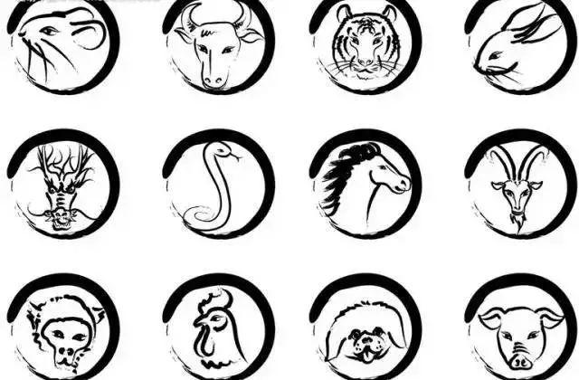 十二生肖叫老大指什么生肖，十二生肖老大是什么生肖（12生肖谁是老大）