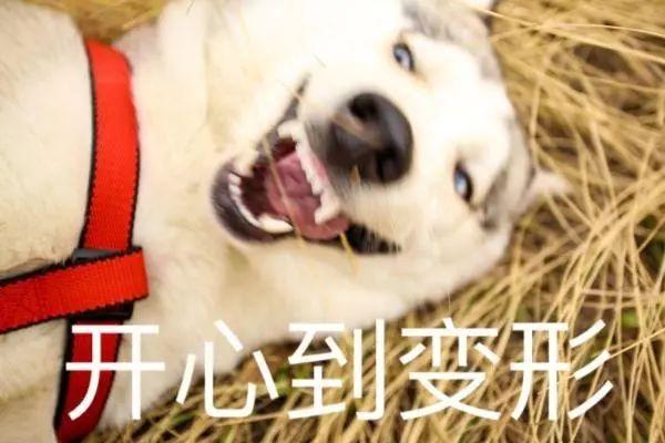 火车票取票须知，二维码检票的火车票需要取票吗（不用取票也能进站上车）