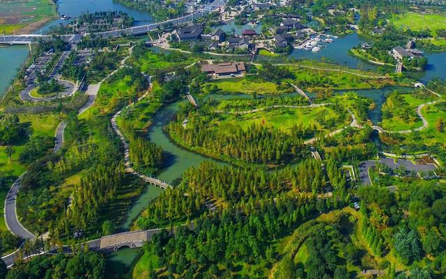 镜湖湿地公园(镜湖公园有什么好玩的)