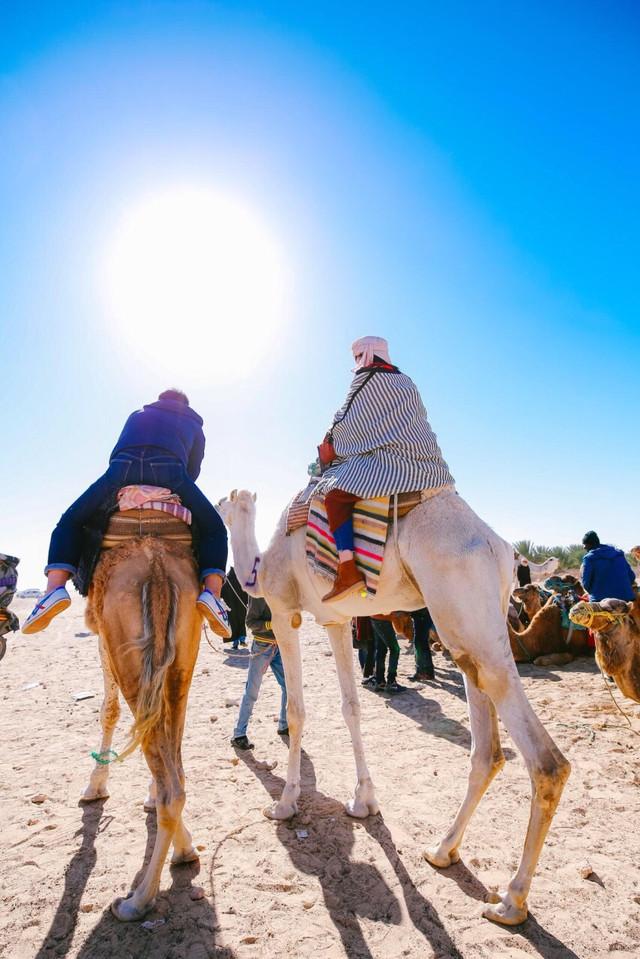 沙漠游记中的白骆驼，去三毛笔下的撒哈拉沙漠