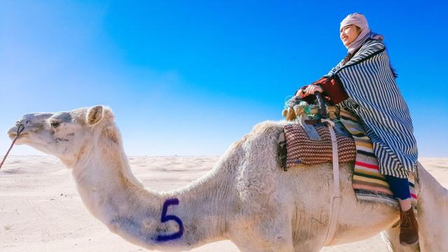 沙漠游记中的白骆驼，去三毛笔下的撒哈拉沙漠