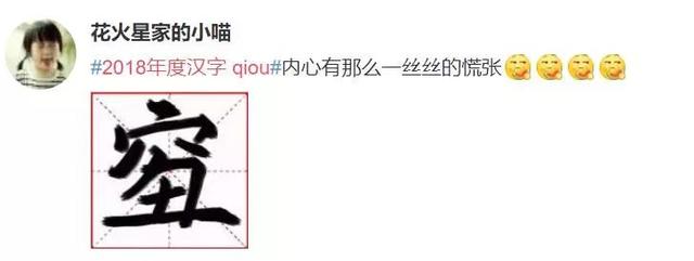 量身定做读音，2018年度汉字念